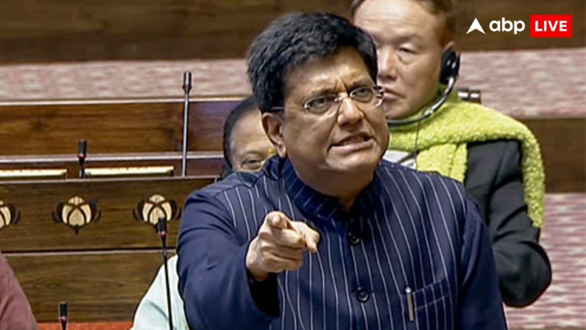 'Plot To Spread Anarchy': Piyush Goyal Slams Rahul Gandhi Over His Remark On PM