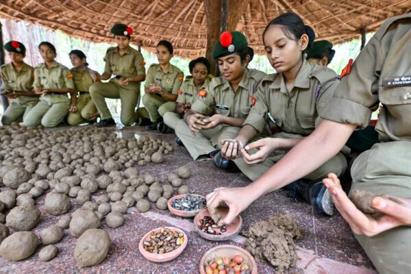 Forest officials, volunteers to disperse 50 lakh seed balls in north Andhra Pradesh